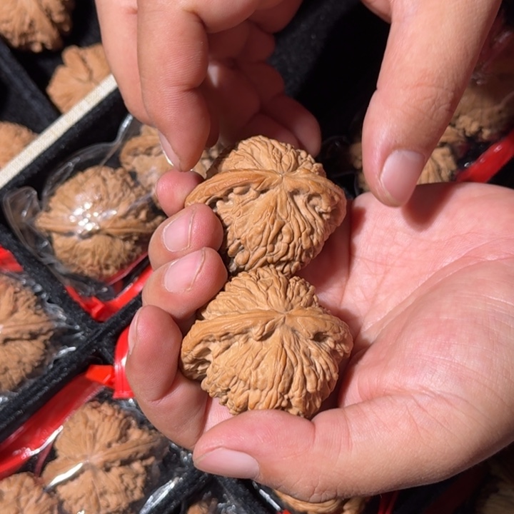 把件文玩核桃997号全品白狮子46-48mm