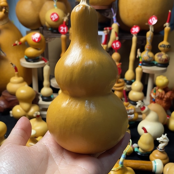 乐***吾葫芦岛连山之前一直想