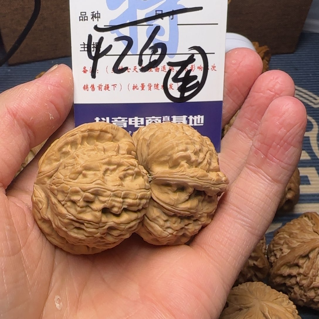 白狮子的故事是一个故事一