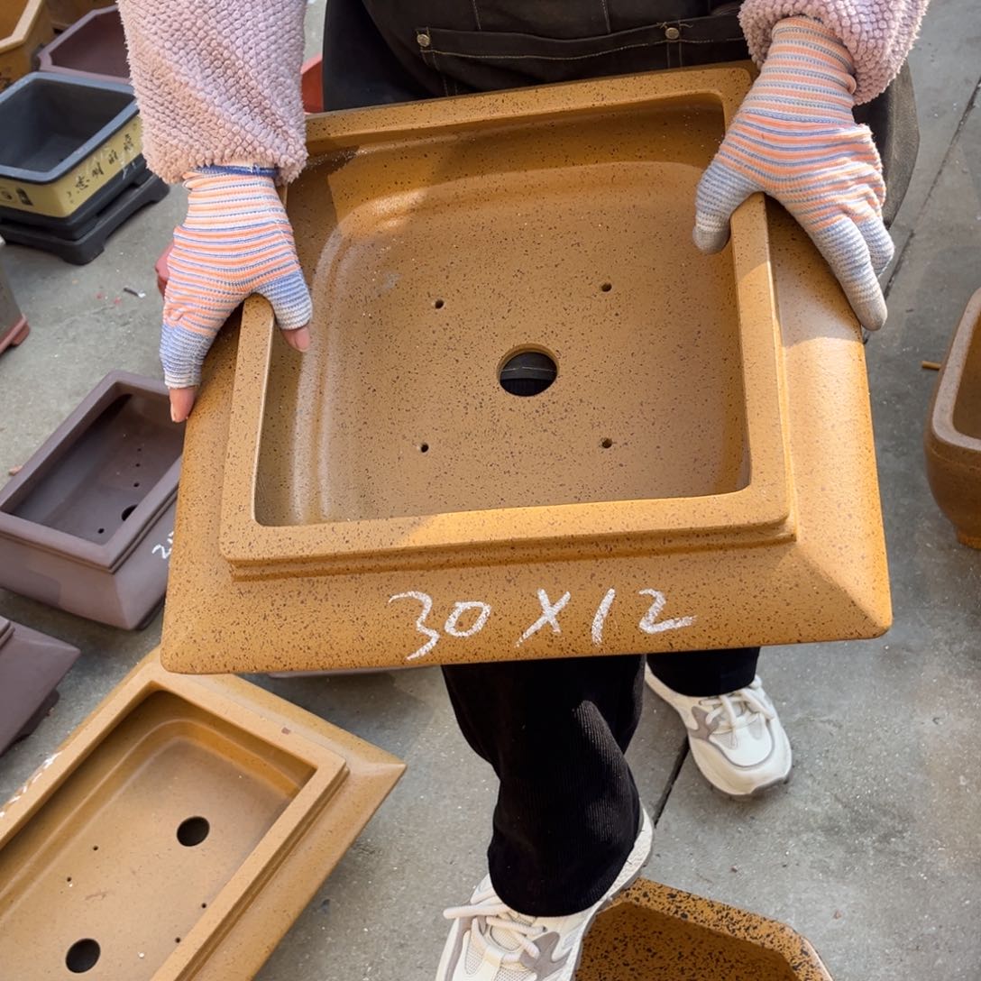 紫砂花盆盆景艺术