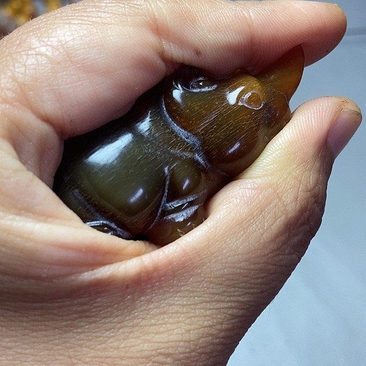 大果紫檀（缅甸花梨）