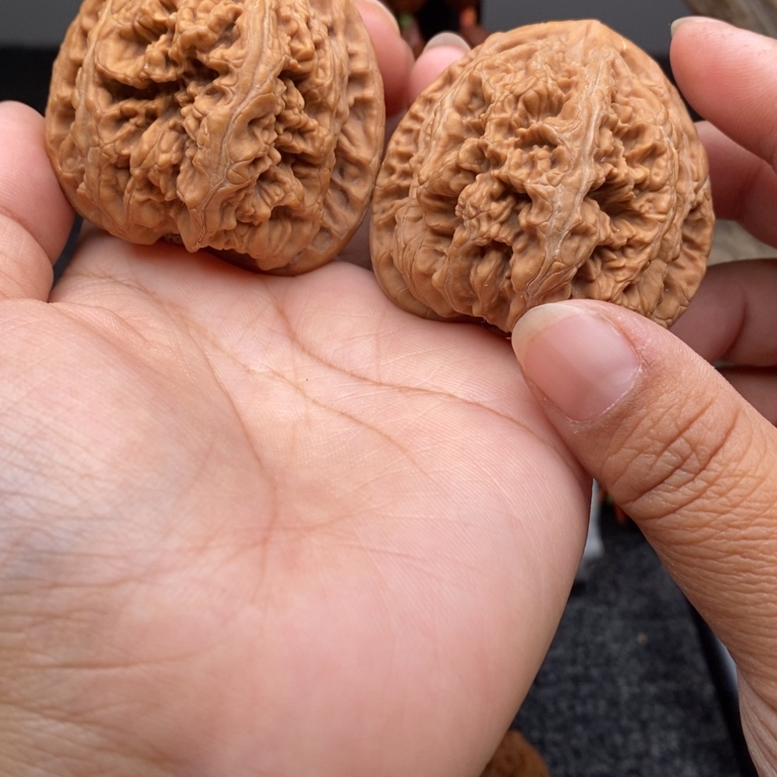 文玩核桃把件47大粗筋