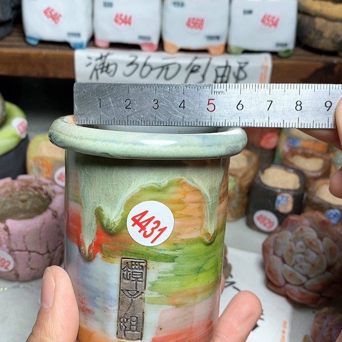 红陶拍5送一个小