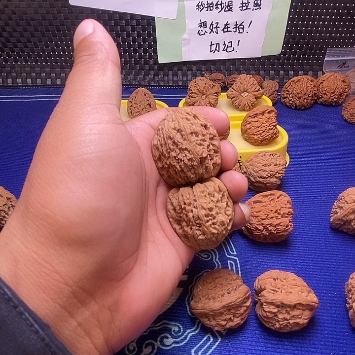 秦***人南疆石37尺小高炮