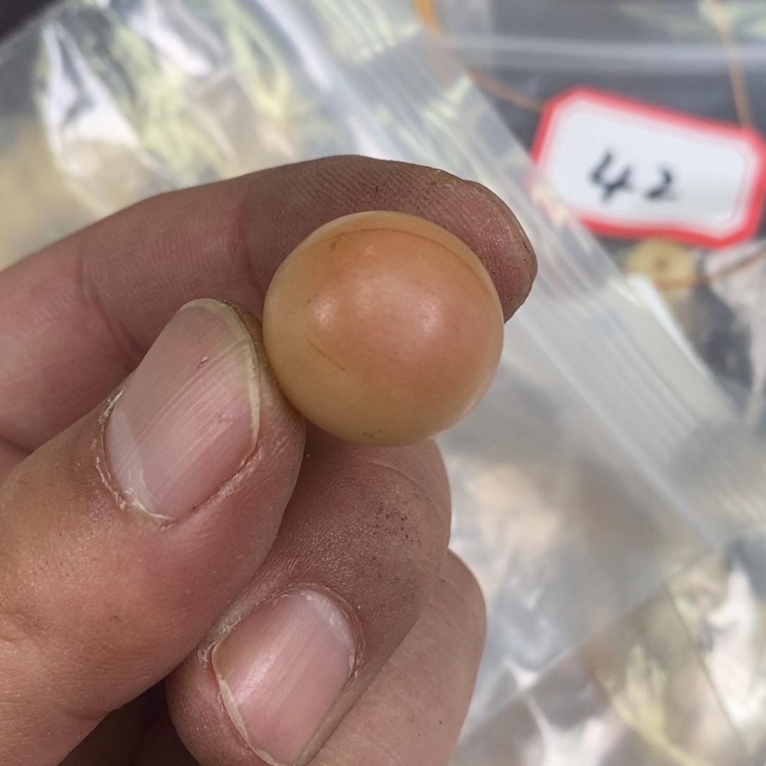 手串/手链驼骨配饰195