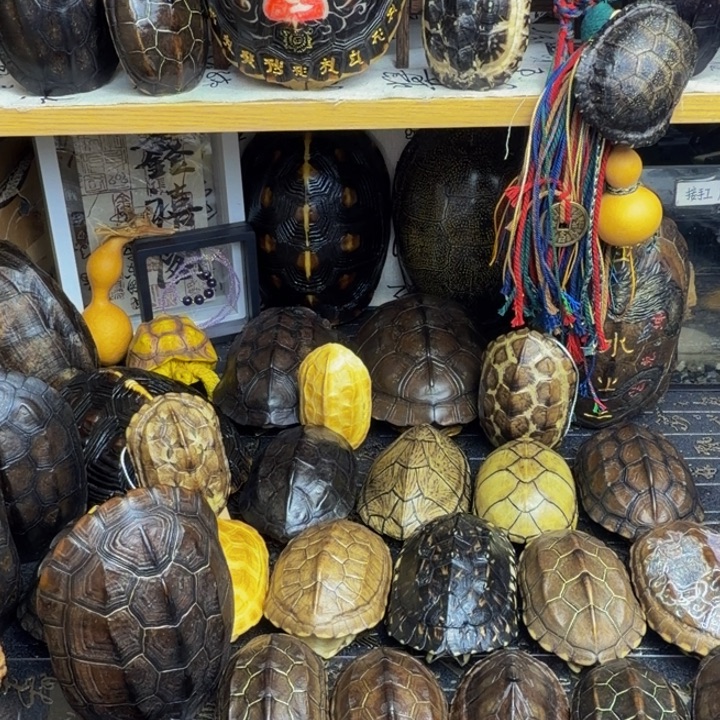 白***墨有机玻璃龟甲手把件