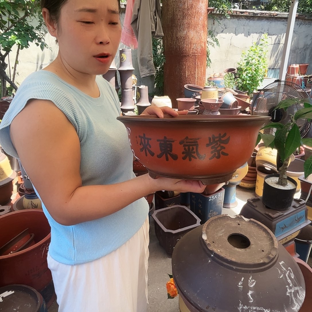 31小红花盆花盆花盆