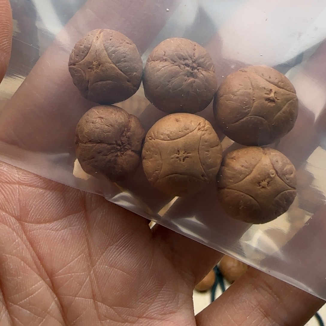 凤眼菩提吊坠麒麟单颗14号