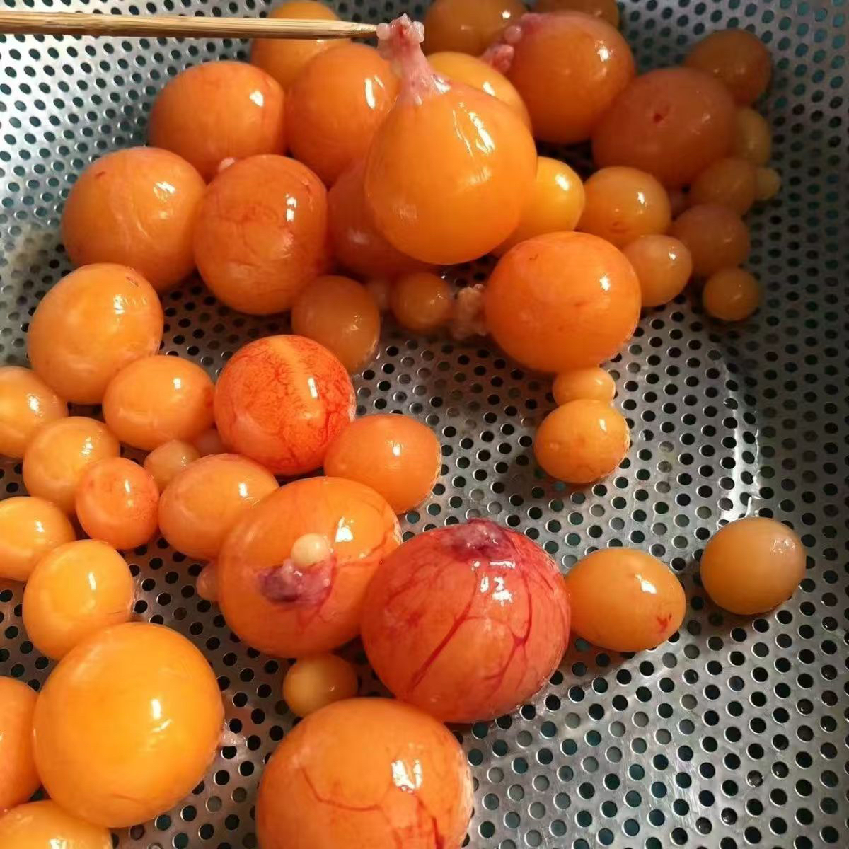 二年老鹅蛋黄毛蛋黄五斤，大鹅蛋黄，鹅蛋茬子。五斤装超值特惠