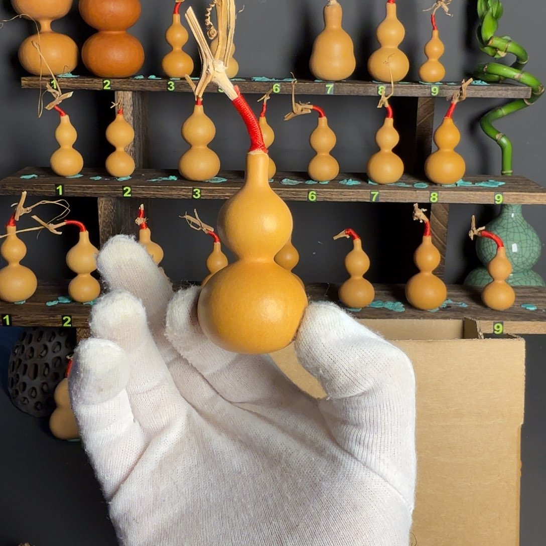 九**饼葫芦葫芦葫芦葫芦葫芦葫芦葫芦葫芦