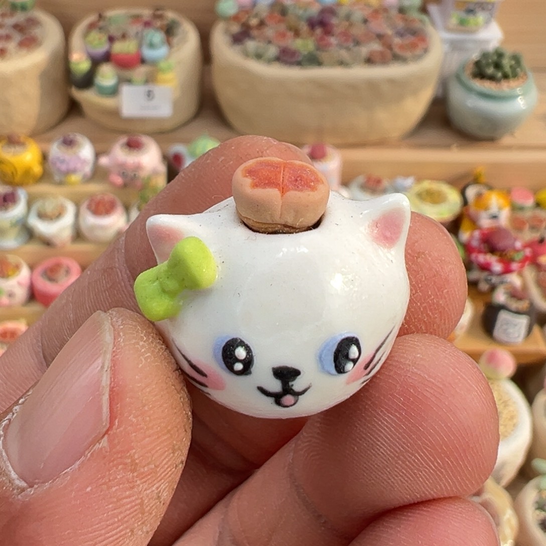 困***T多肉植物8号拇指盆带盆