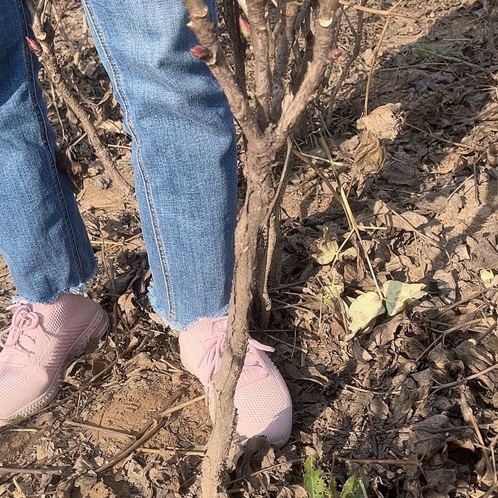 完全开放11111111111111111