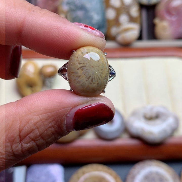 硅化珊瑚（珊瑚玉）颈饰未镶嵌