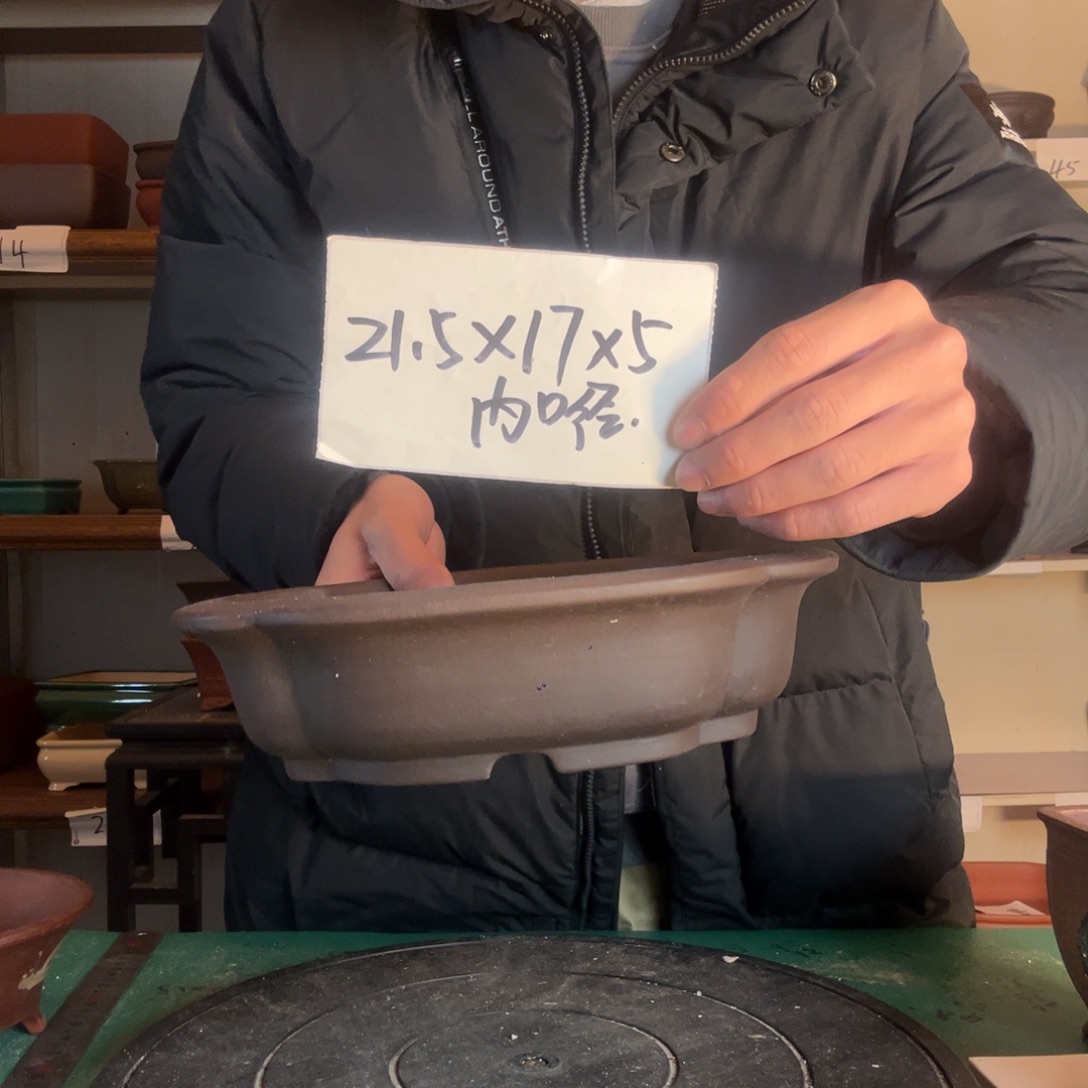 反反复复vv哈哈哈爸爸