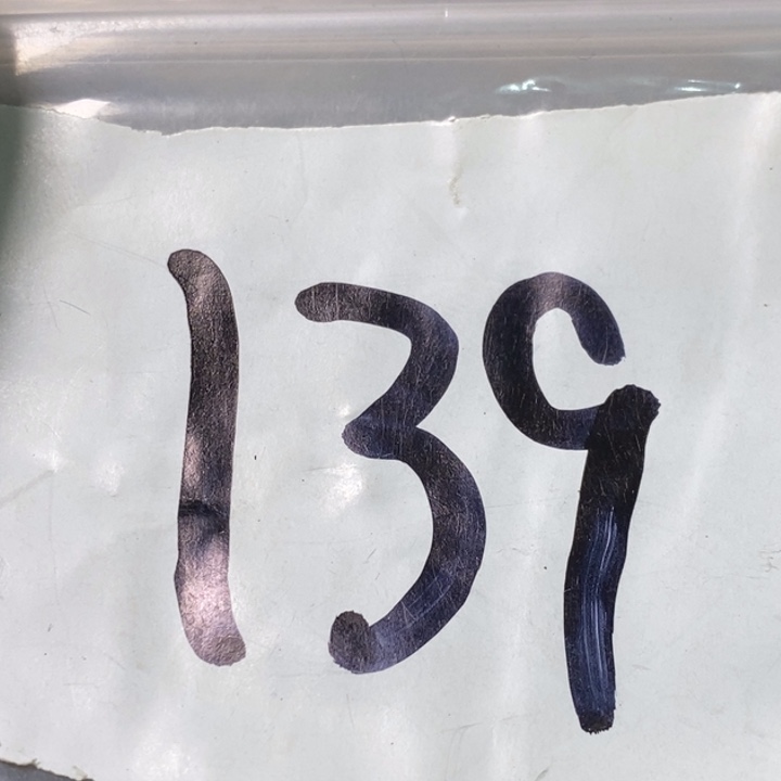 用***5娜娜文玩杂项专属链接