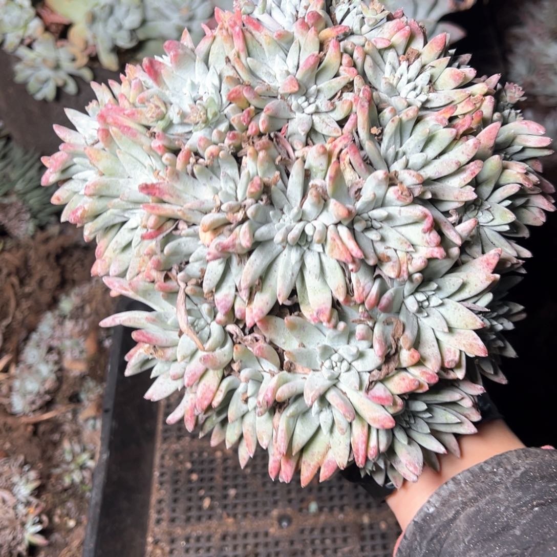 5657哈哈哈哈哈哈哈哈