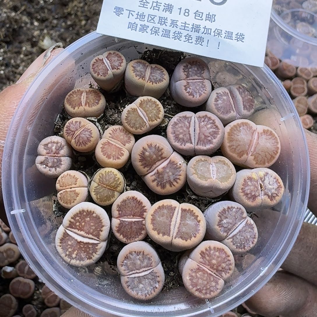 1923 哈哈哈哈哈哈哈哈哈哈哈哈