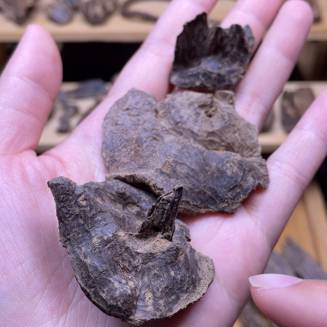 7.1克海南大山淳化老野料