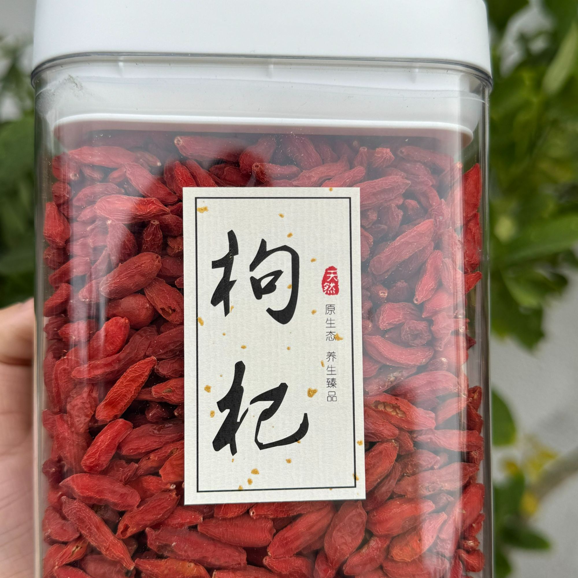 宁夏高品质野生枸杞滋补养生可泡水煲汤无硫枸杞子