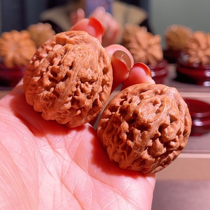 核桃红锦鲤全品无休