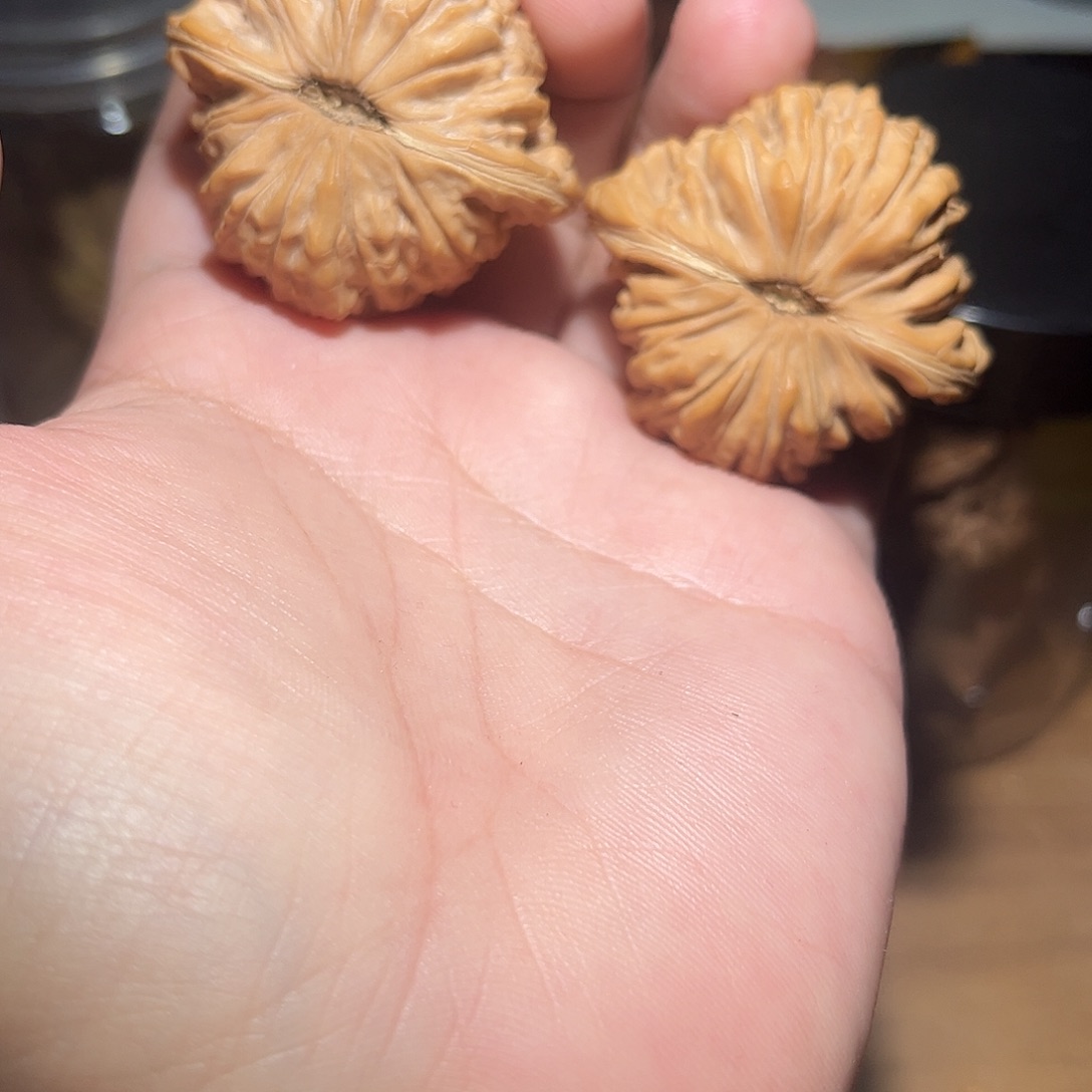 蛋***王吊坠文玩核桃楼子楼子