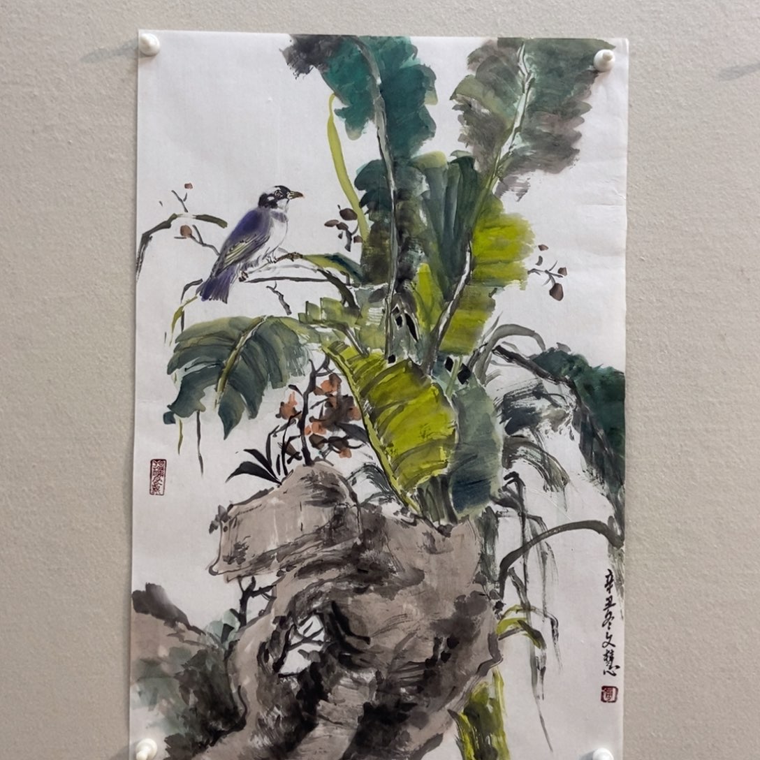 【闪购商品】国画通*基墨鱼精品墨鱼精品
