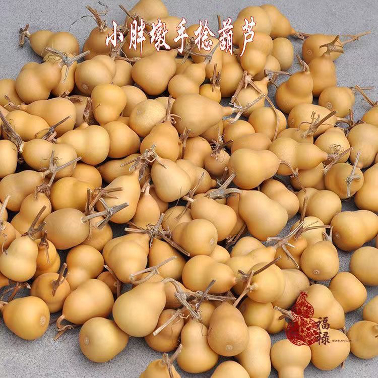 手捻小胖墩随机发天然手把玩葫芦盘玩不保龙头偏远地区不包邮