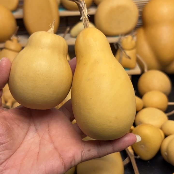 夏*后天葫芦葫芦葫芦葫芦葫芦葫芦