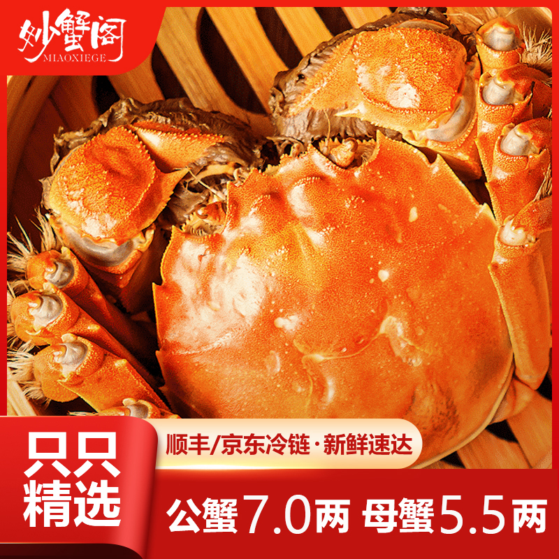 【活蟹】妙蟹阁大闸蟹 公蟹7.0两 母蟹5.5两 2对4只 顺丰冷链包邮
