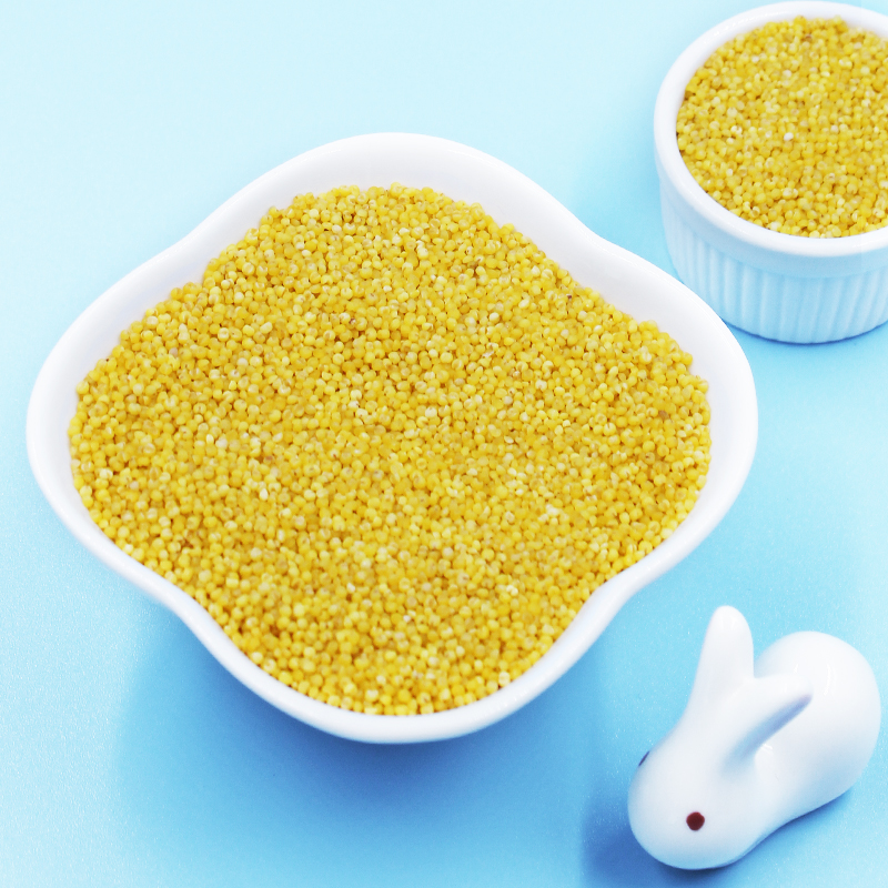 东北硃碌科黄小米 朝阳小米绿色食品地理标志五谷粗粮小米5斤/1袋