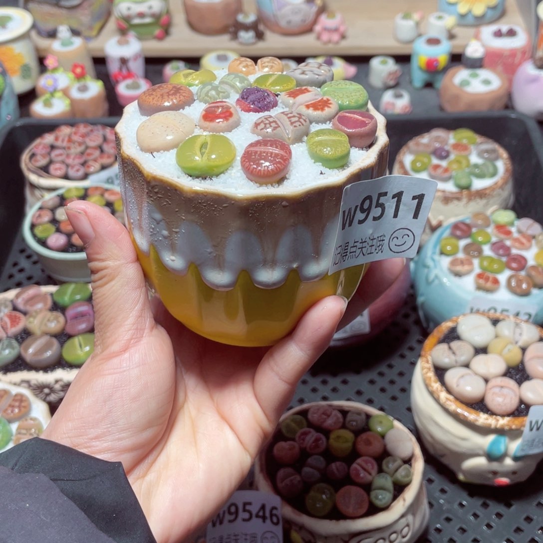 w9511 带盆土发货-零下地区拍保温箱