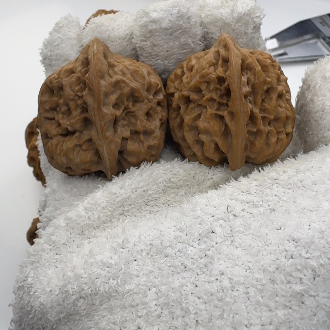 全品36将军膀核桃