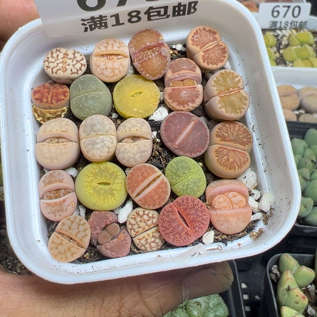 【闪购商品】 673。