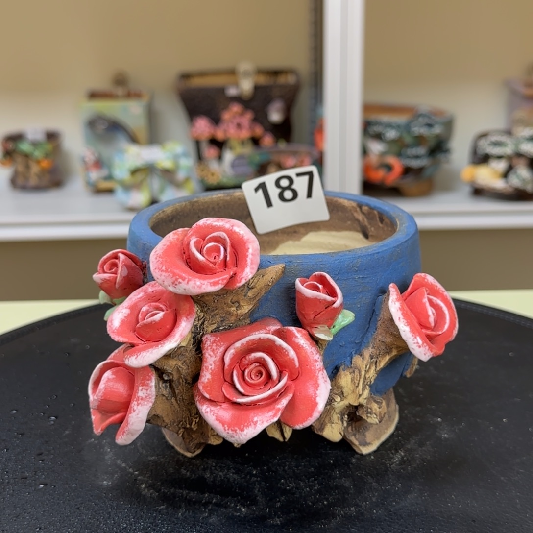 187 【闪购】多肉花盆