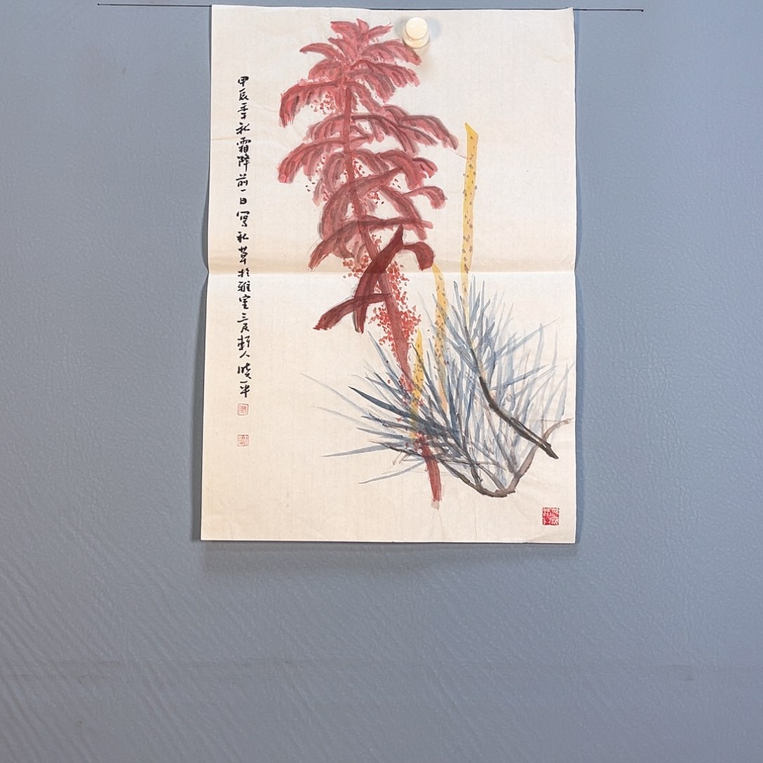 国画475 花红艳绿之美称的白