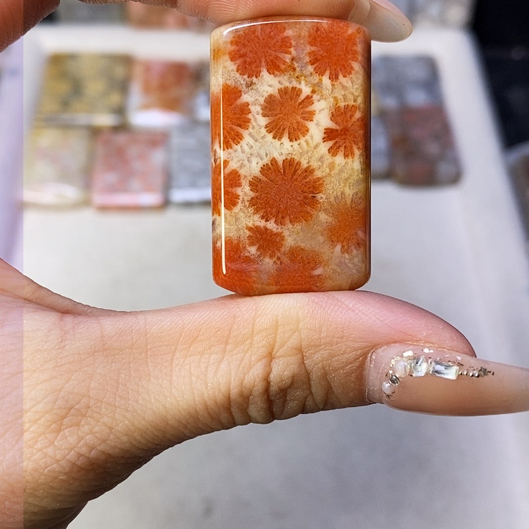 查罗石合金颈饰小**子