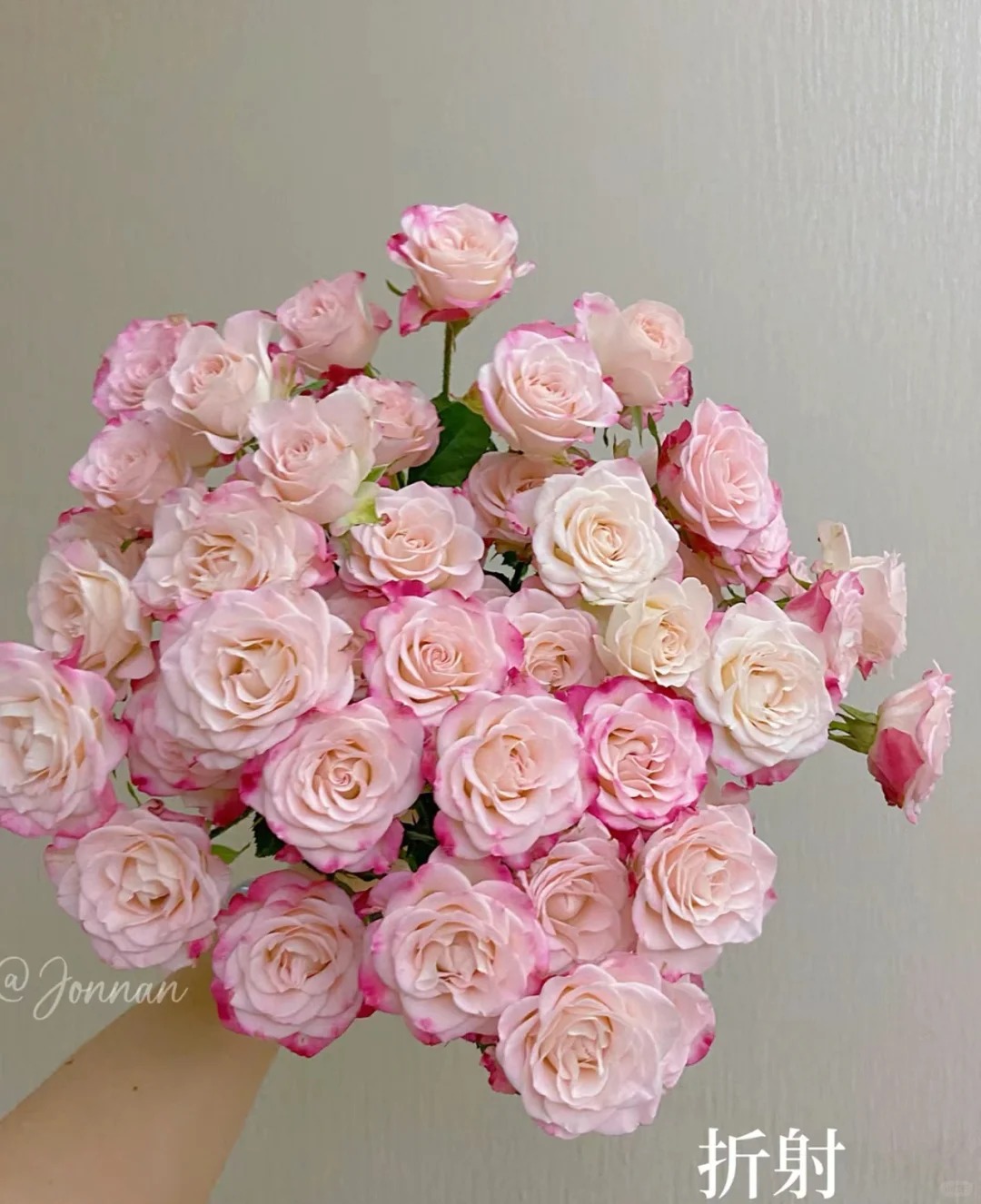 【浙里花】洛神+折射玫瑰   两单升级EMS空运/京东冷链