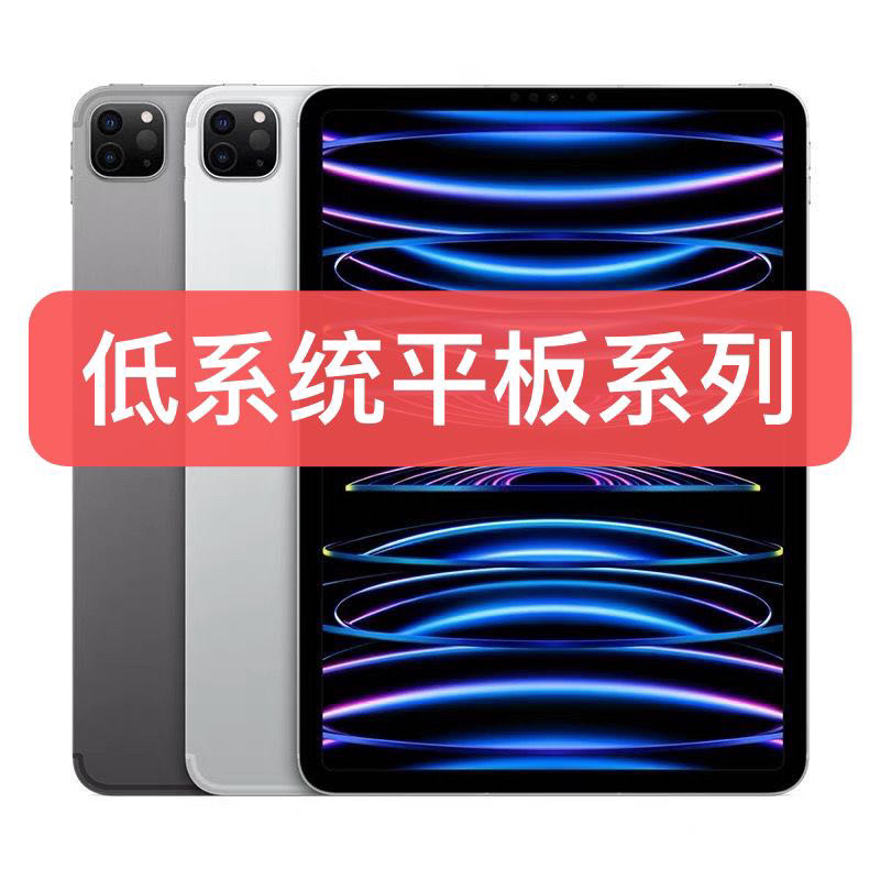 9新 Apple/苹果 iPadpro2022款20/21pro国行低系统平板玩和平