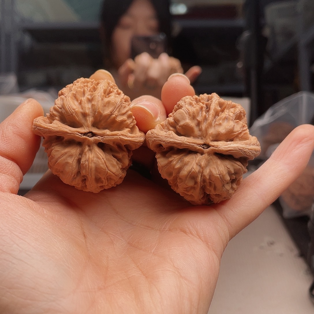 华北将军26年被国民