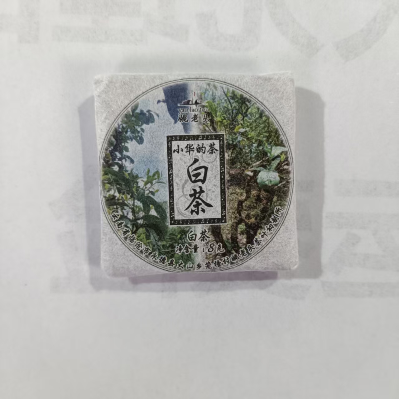 【永德白茶小方片】2022年春白茶2月13日【49号】