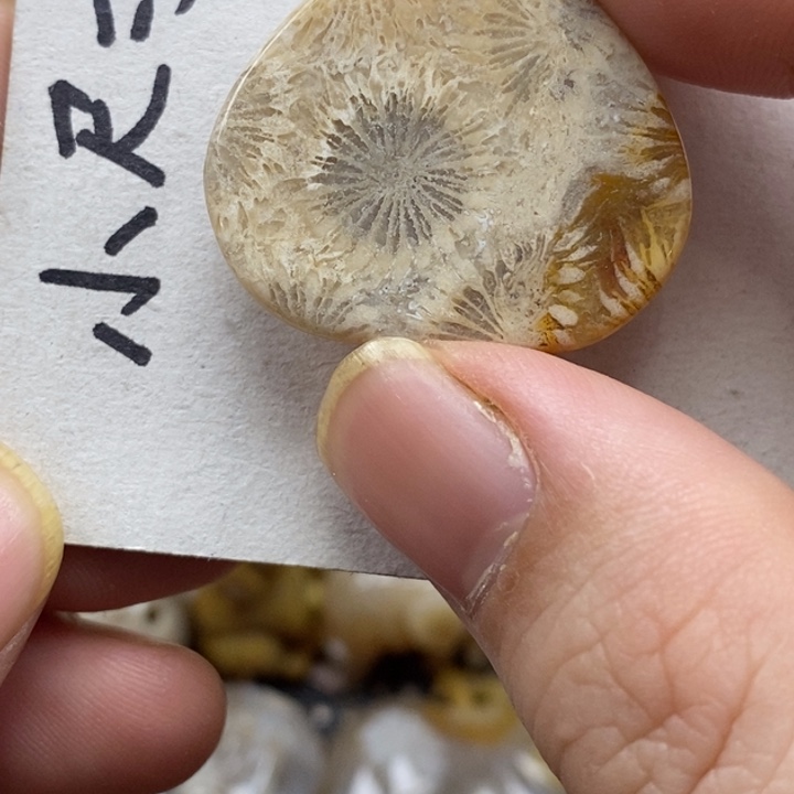 硅化珊瑚（珊瑚玉）未镶嵌颈饰