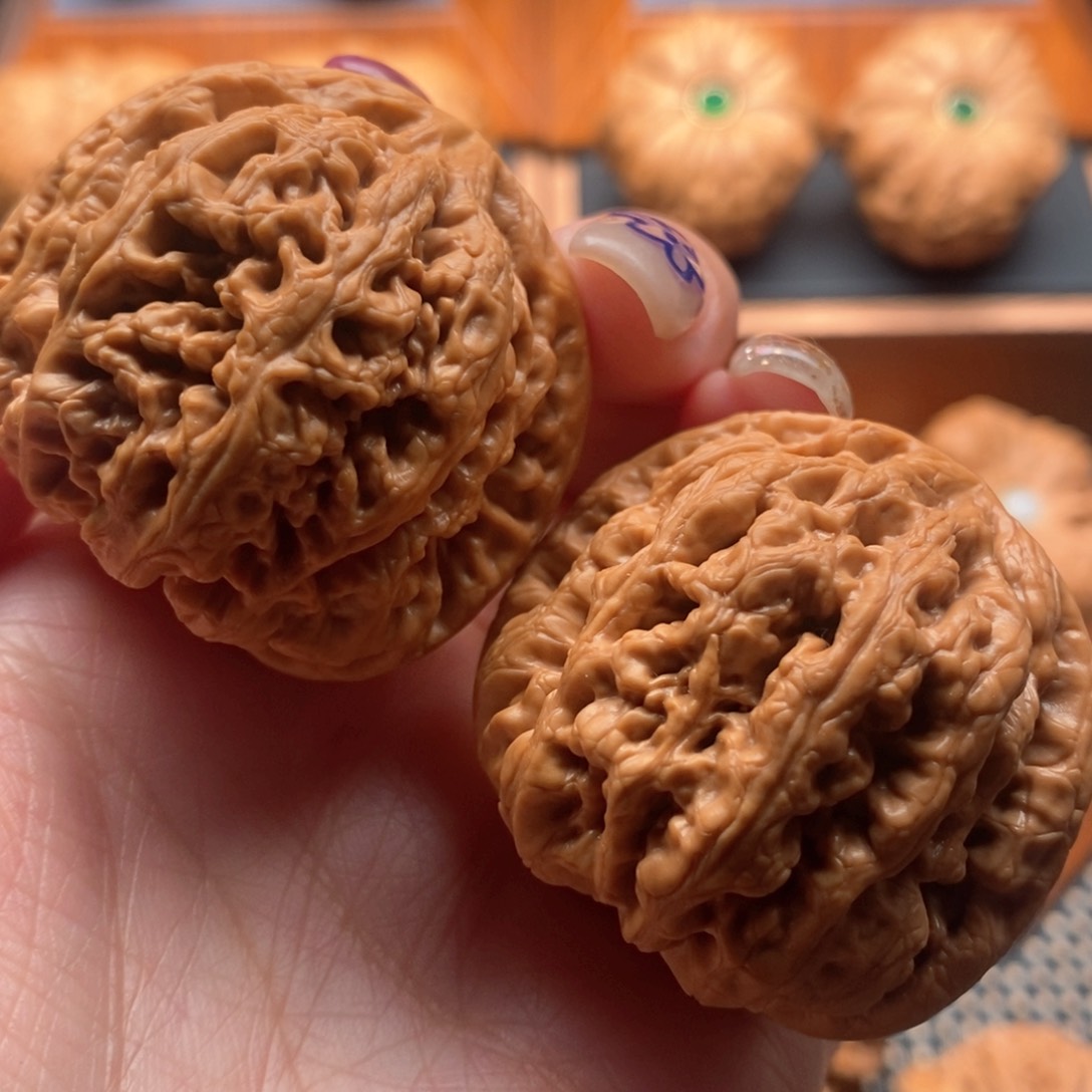 文玩核桃把件41尺寸粗筋