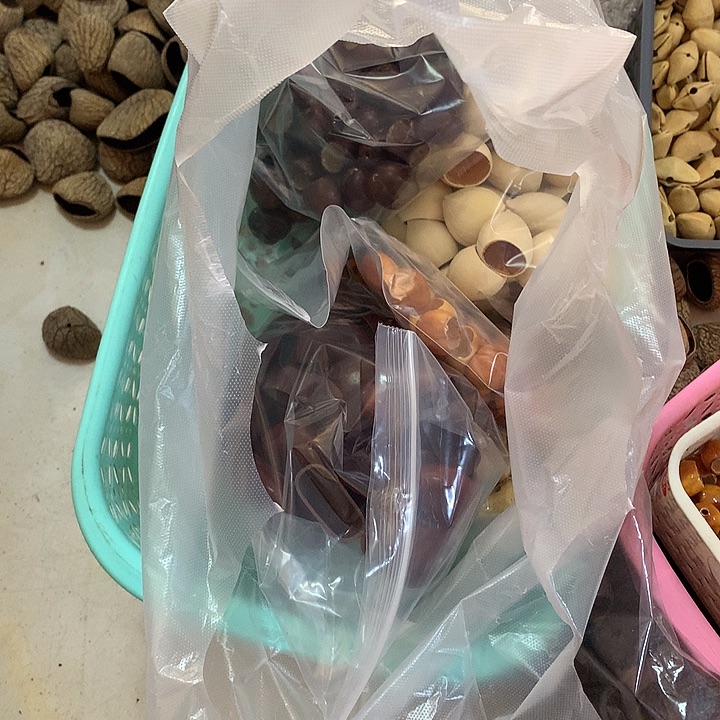 精***美千眼菩提吊坠果壳