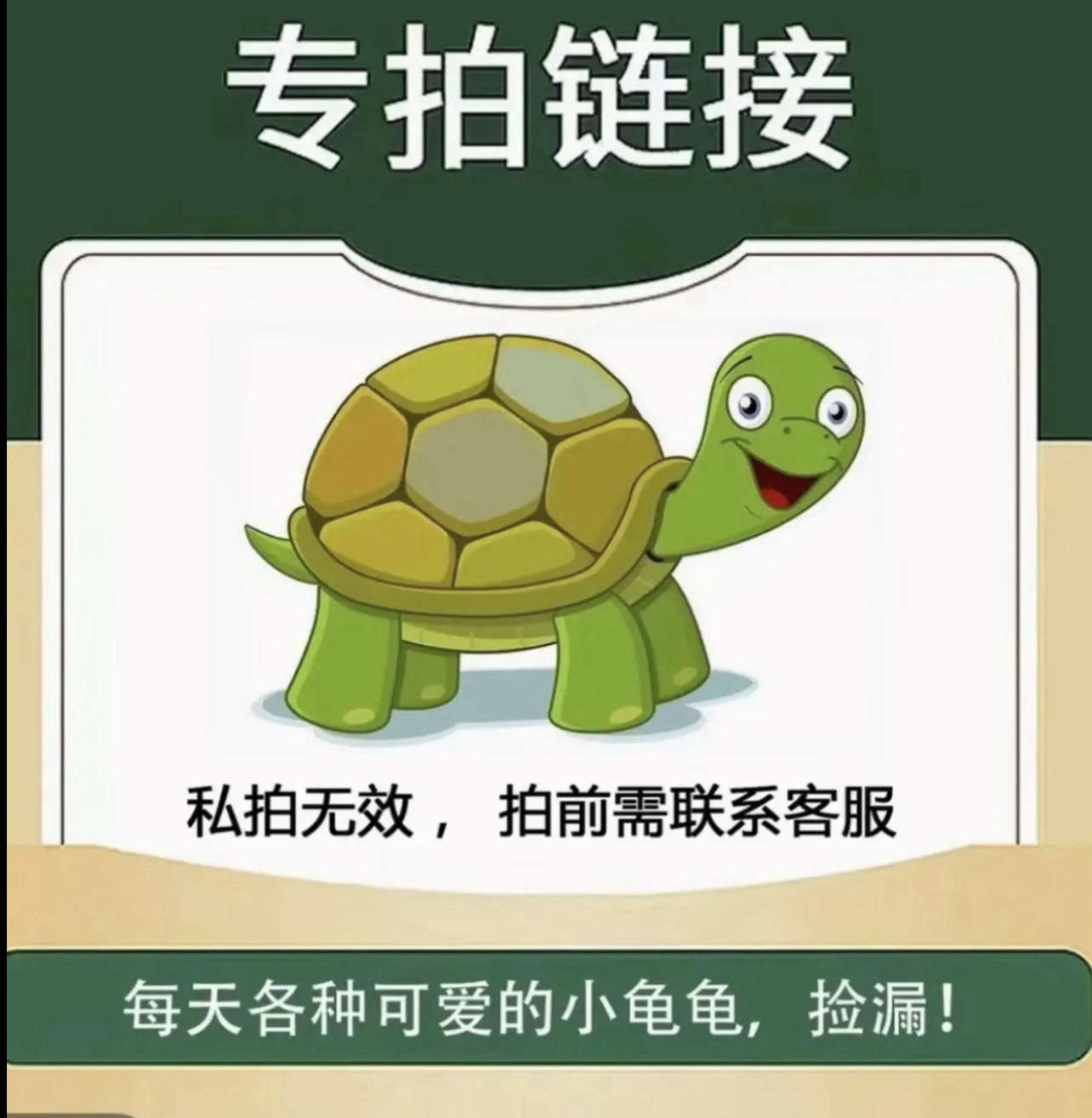 【直播精选】   人工繁殖饲养宠物龟直播间链接