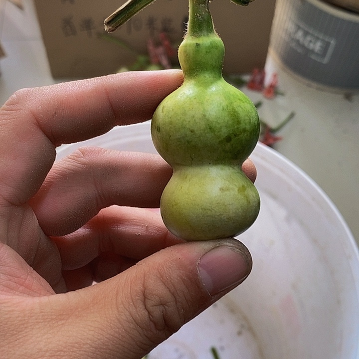 小**希长嘴哈哈哈哈哈哈哈哈哈哈哈哈哈