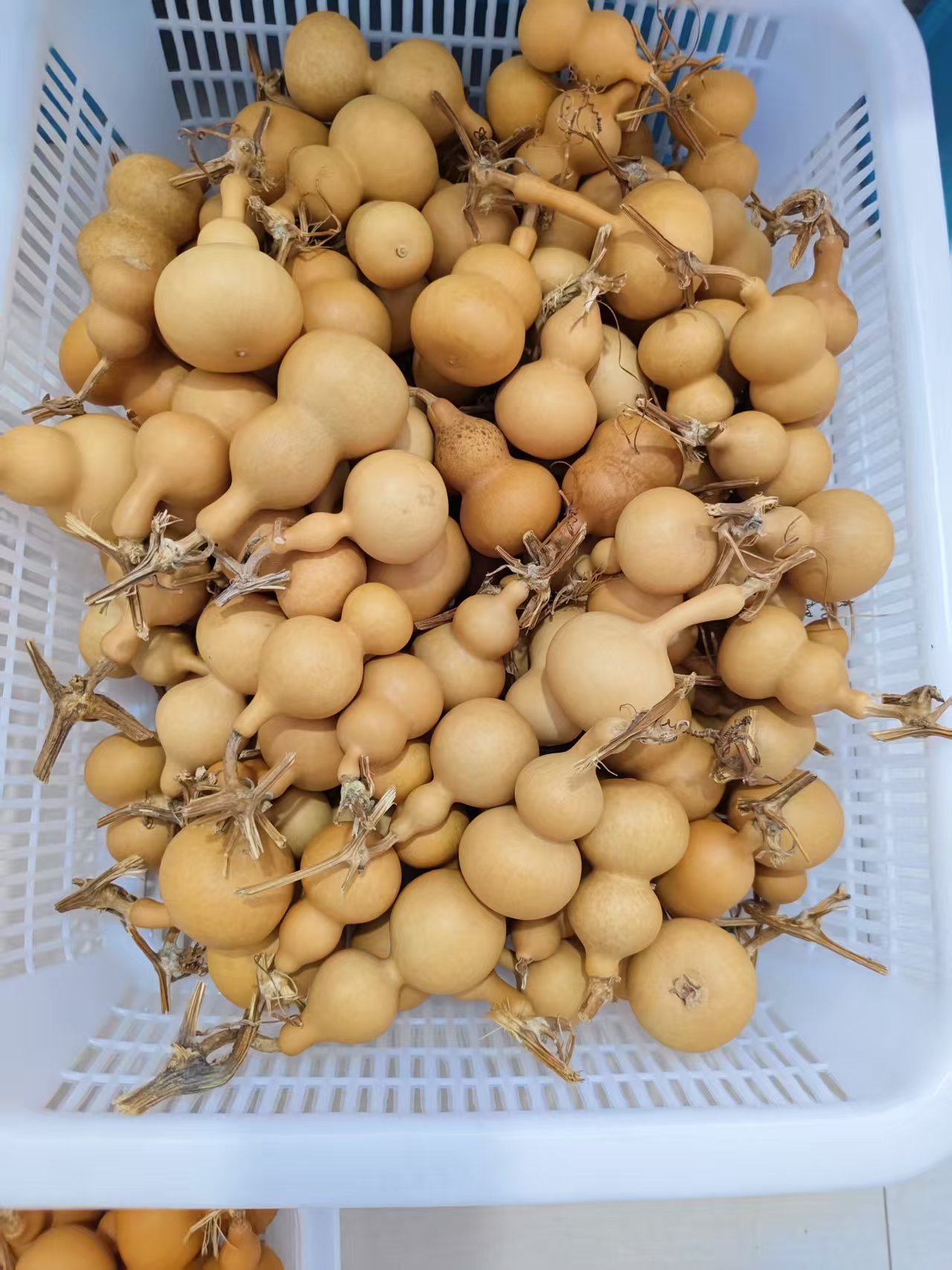 通货天然葫芦打包手把件（一物一拍，请勿独自下单）