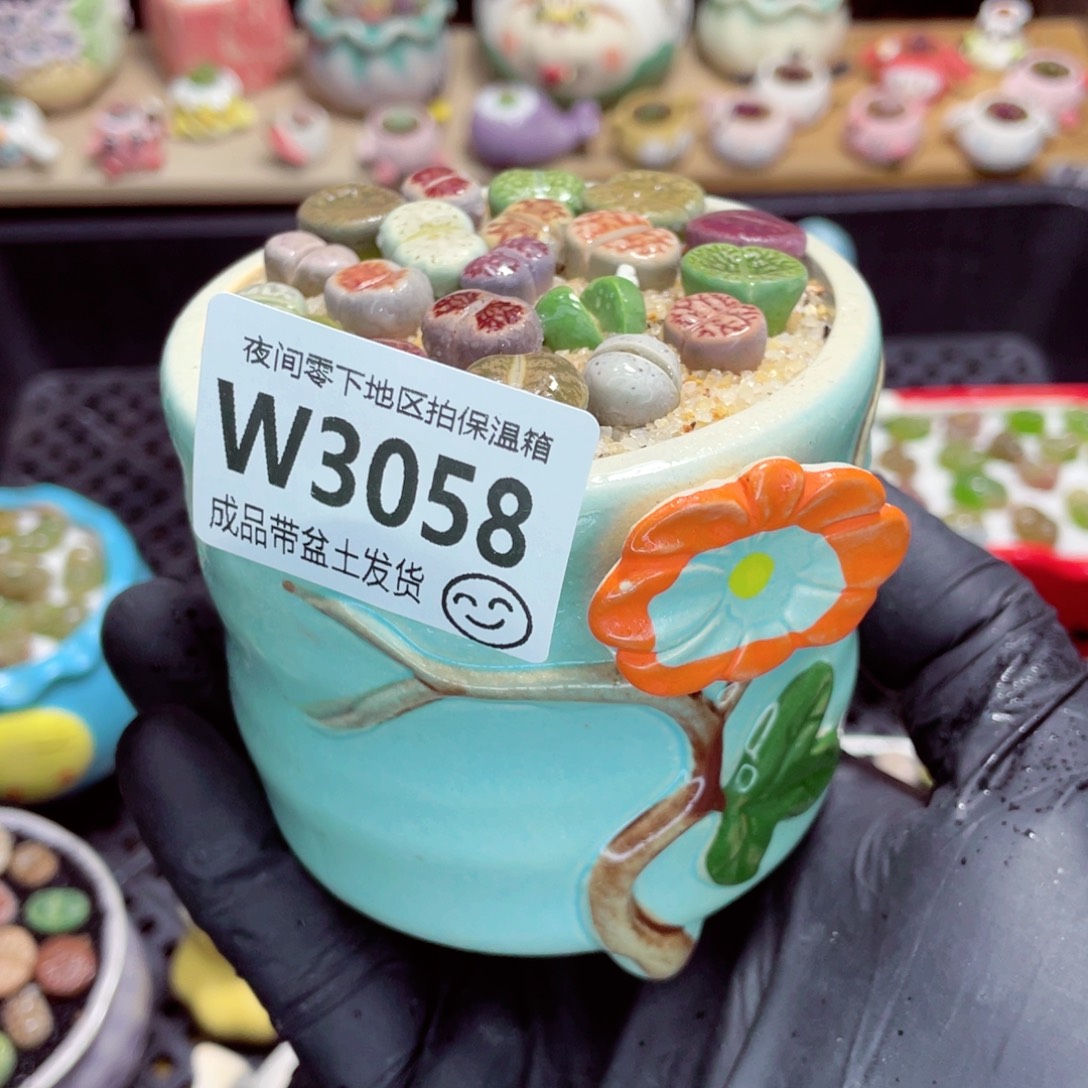 夜间零下地区拍保温箱w3058