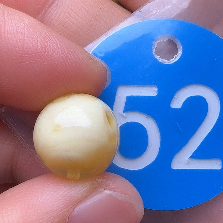 蜜蜡裸石未镶嵌花粉13.3m m