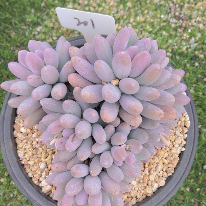 健健康康平平安安