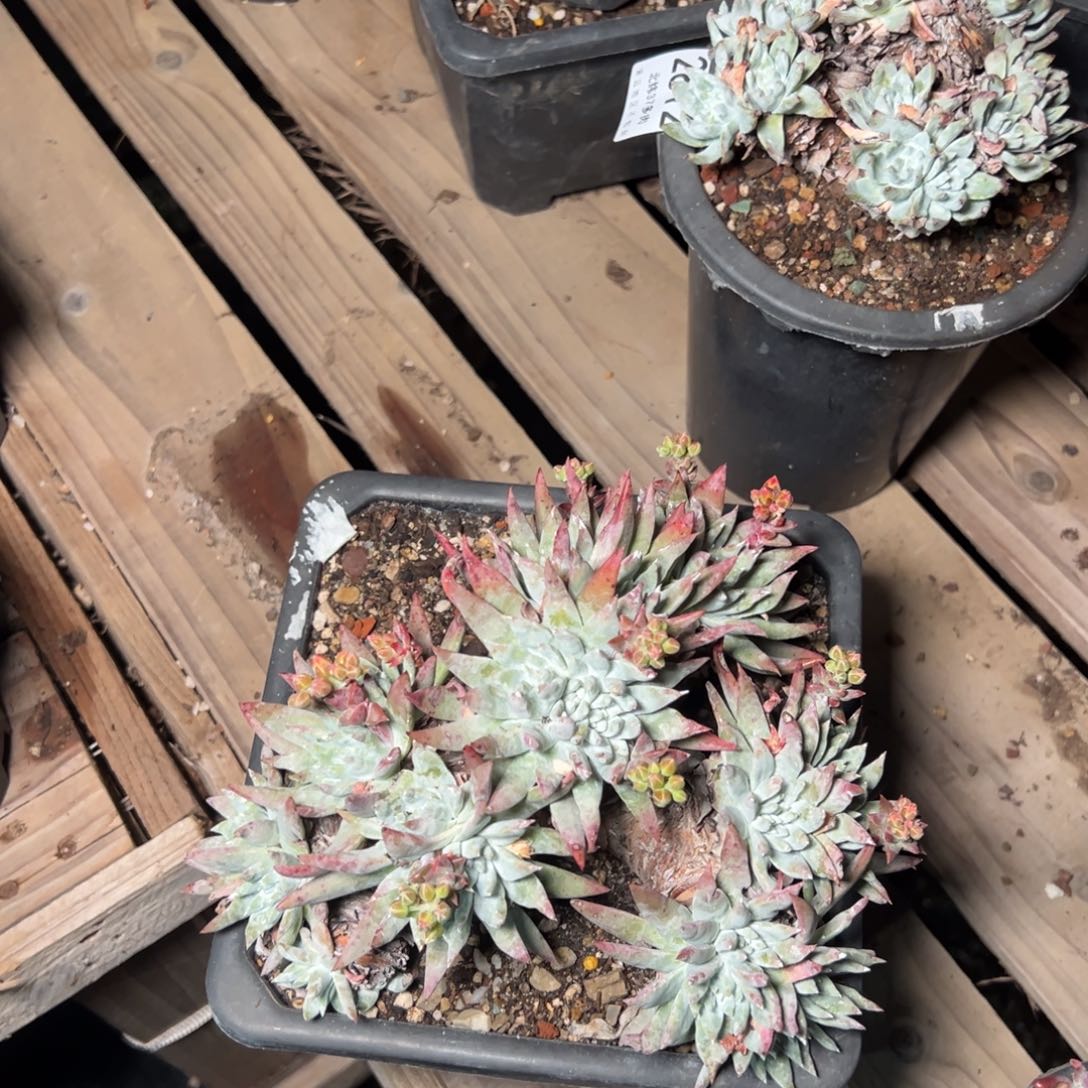 2814哈哈哈哈哈哈哈哈